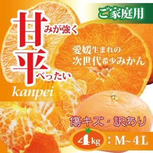 みかん 甘平 愛媛県産 かんぺい キズキズ 送料無料！ 訳あり ご家庭用 4kg M〜4L玉 サイズ不揃い