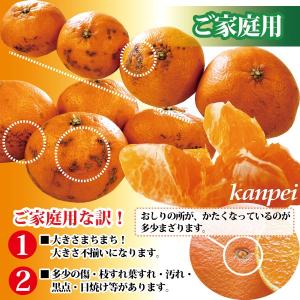 みかん 甘平 愛媛県産 かんぺい みかん 送料...の詳細画像2