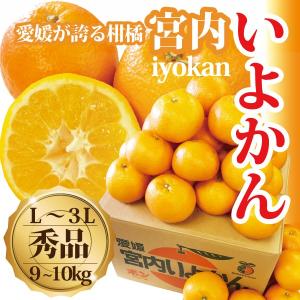 いよかん 伊予柑  愛媛ごご島産 宮内いよかん 送料無料 秀品 9〜10ｋｇ M〜4Ｌ玉