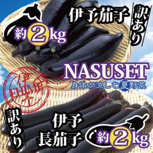 なす ナス 茄子セット訳あり 愛媛産  伊予茄子約２kg＋伊予長茄子約２kg