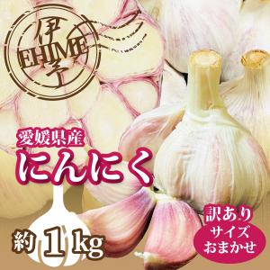 にんにく 愛媛産 生ニンニク 約１kg サイズおまかせ 訳あり ご家庭用 香味野菜 送料無料