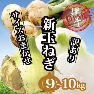 玉ねぎ 愛媛産 新玉ねぎ 訳あり 大きさおまかせ 送料無料 ９〜１０kg