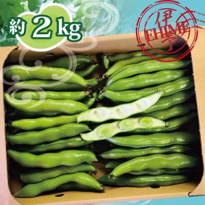 ソラマメ そら豆 愛媛産 空豆 送料無料 約2...の詳細画像1