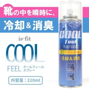 靴用冷却・消臭スプレー 220ml メンズ レディース MORITO モリト is-fit クールフィールスプレー C080-1716｜footone