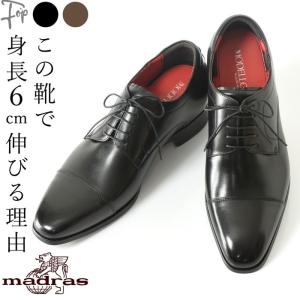 1301】【送料無料】【ポイント10倍】ANCIEN CREPINS高級本革☆6cm