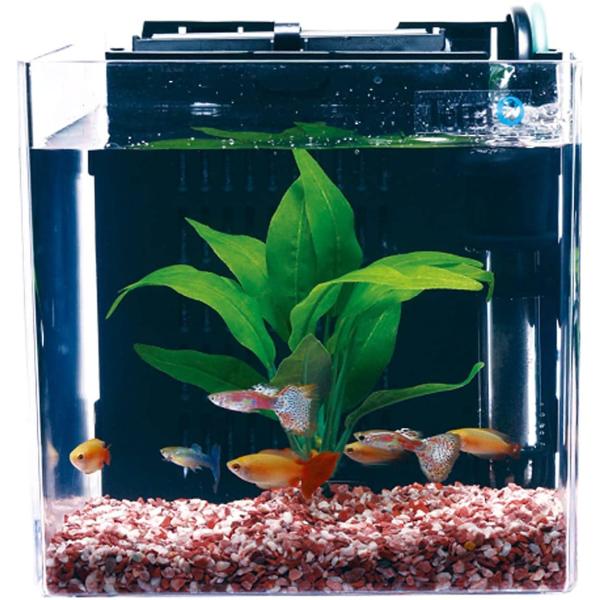 テトラ (Tetra) スマート熱帯魚飼育セットSP-17TF (水槽容量 5L) 水槽 アクアリウ...