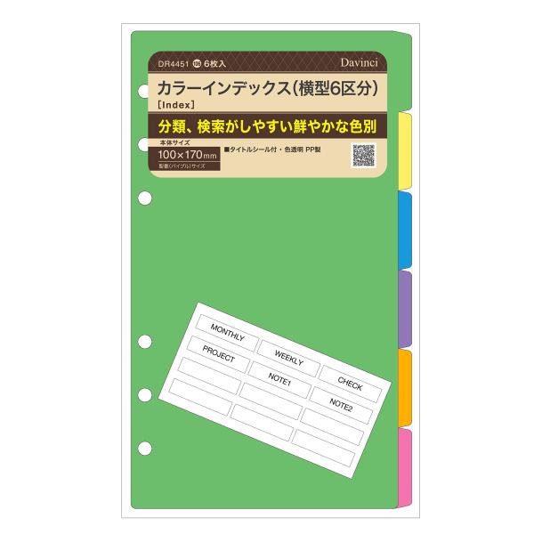 レイメイ藤井 システム手帳 リフィル 聖書サイズ DR44551 カラーインデックス(横型6区分)