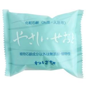 ねば塾 やさしいせおと 100g(配送区分:B2)｜foremost