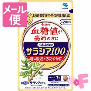 小林製薬のサラシア100 60粒[ネコポス配送2]の商品画像