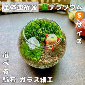 全体運祈願の苔テラリウムSサイズ 完成品 (鉱石さざれ石セット) 観葉植物 盆栽 雑貨 ギフト 贈り物 祝儀 プレゼント 母の日 父の日 子供の日 敬老 感謝