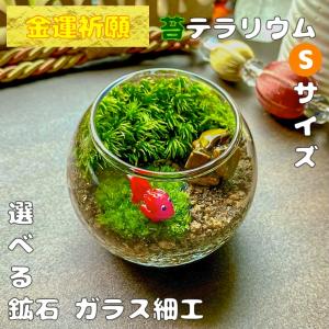 金運祈願の苔テラリウムSサイズ 完成品 鉱石さざれ石セット 苔テラリウム 苔盆栽 インテリア雑貨 癒し プレゼント 誕生日 敬老 母の日 父の日 ギフト