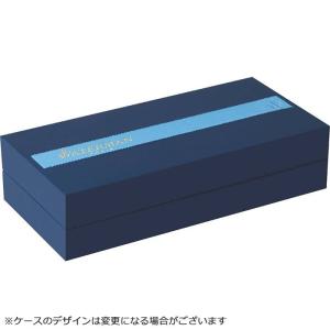 ウォーターマン ボールペン エキスパート エッ...の詳細画像1