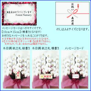 胡蝶蘭 お祝い専用 開店祝い ★500円OFF...の詳細画像3