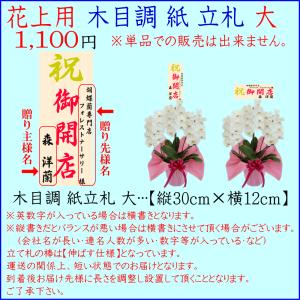 胡蝶蘭 お祝い専用 開店祝い ★500円OFF...の詳細画像5