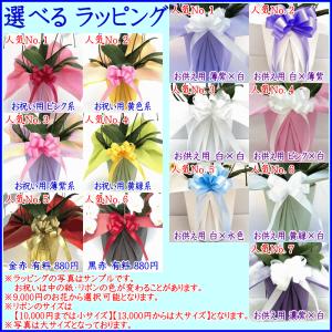 胡蝶蘭 お祝い お供え ★クーポン発行中★ 開...の詳細画像4