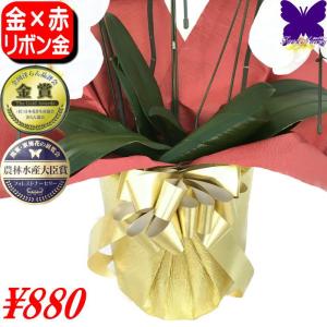 豪華 金赤ラッピング&金リボン(単品での販売は出...の商品画像