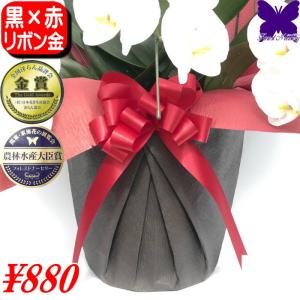 豪華 黒赤ラッピング&赤リボン(単品での販売は出...の商品画像