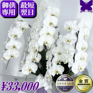 茶道具 竹花入れ 掛置兼用 七事式 三重切花入れ 三重切 : 茶道具いまや