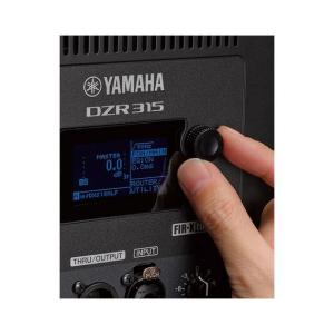 YAMAHA(ヤマハ) DZR315の詳細画像2