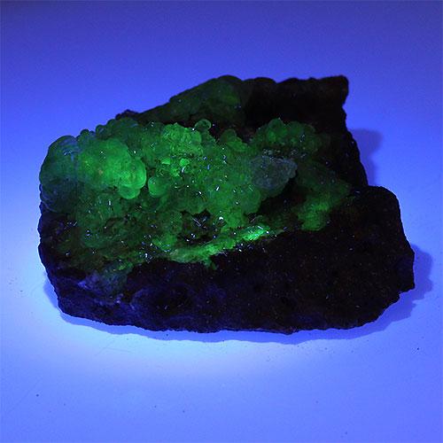 〔D356-11〕希少 メキシコ産 蛍光 ハイアライトオパール 玉滴石 Hyalite Opal 結...