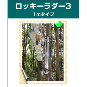 ロッキーラダー3 / 2mタイプ (1本ハシゴ) 木登りハシゴ : フォレスト 