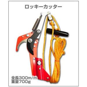 ロッキーラダー2 / SW-280 (1本ハシゴ) 林業 枝打ち梯子 巴化成工業