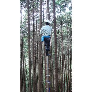 特別仕様 木登りハシゴ 道具 工具 Sw 540ex 両足ステップタイプ 2ex Diy 工具 Sw 540ex フォレスト ワールド ロッキーラダー