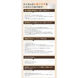冷蔵庫マット \楽天8冠 雑誌掲載 圧倒的高評...の詳細画像5