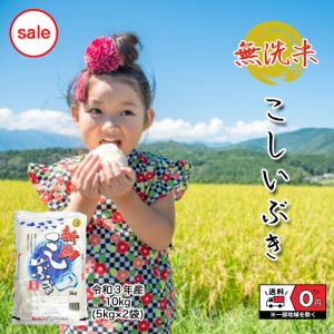 こしいぶき 10kg 5kg×2 令和3年産 無洗米 新潟県産 米 お米 白米 おこめ 精米 単一原料米 ブランド米 10キロ 送料無料 国内産 国産