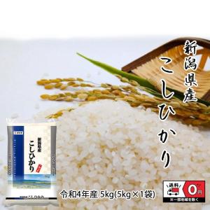 こしひかり 5kg 令和4年産 新潟県産 米 お米 白米 おこめ 精米 単一原料米 ブランド米 5キロ   国内産 国産