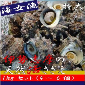 伊勢志摩産 海女漁 厳選 サザエ 天然 活き 1キロ 4~6個