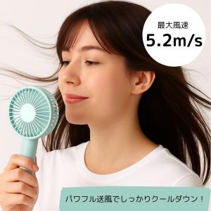 フランフラン ハンディファン2025 オーロラ...の詳細画像1