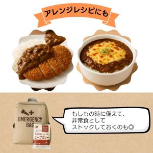 レトルトカレー ビーフカレー カレー 詰め合わ...の詳細画像5