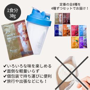 レイズ プロテイン お試し 1食分 30g ×...の詳細画像1