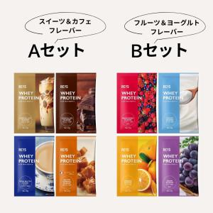 レイズ プロテイン お試し 1食分 30g ×...の詳細画像2