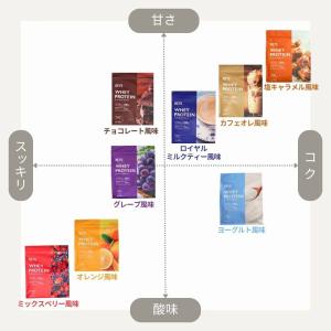 レイズ プロテイン お試し 1食分 30g ×...の詳細画像3