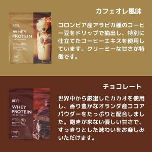 レイズ プロテイン お試し 1食分 30g ×...の詳細画像4