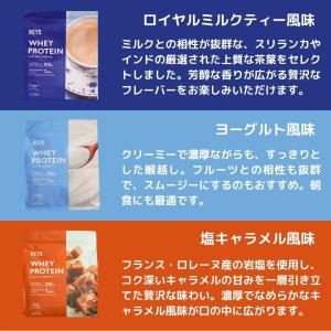 レイズ プロテイン お試し 1食分 30g ×...の詳細画像5