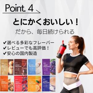 レイズ プロテイン REYS ホエイ チョコレ...の詳細画像4