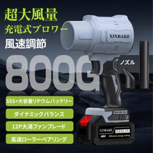 【正規品】2025新品 ブロワー ジェットドラ...の詳細画像2