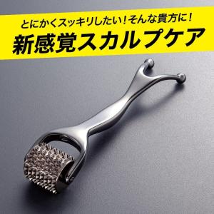 熱伝導スカルプローラー for MEN(アルフ...の詳細画像2