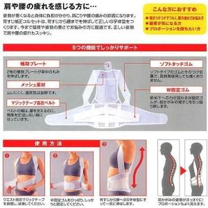 背すじ補正コルセット S 男女兼用(コジット)...の詳細画像2