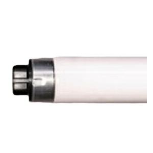 FHF86EN/RXNU(10)《法人様限定》【東芝】1本2,268円(税込￥2,494,8 