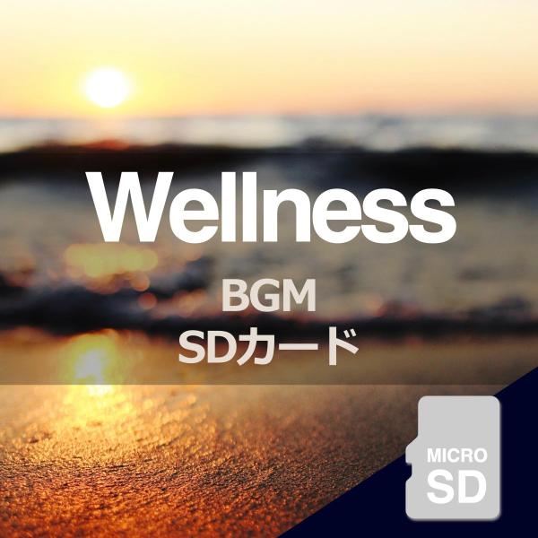 ウェルネスBGM 音源入SDカード 40sスピーカー用 健康 管理 免疫力 認知症 予防 自律神経 ...