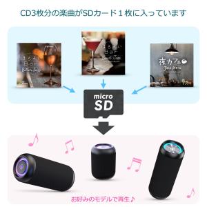 ジャズバーBGM 音源入SDカード 40sスピ...の詳細画像5