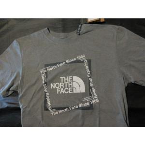 本物正規◆ノースフェイス◆Tシャツ GRAPHIC NSE■S/Mサイズ■灰■新品/THE NORTH FACE/DYY