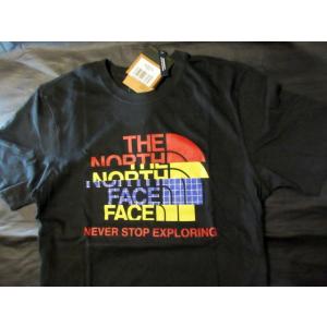 本物正規 ノースフェイス Tシャツ NOV GRAPHIC ■黒■新品■アメリカ限定■HALFDOME K31/The North Face メンズ  半袖｜fortlee