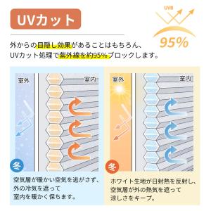 【スクリーンを小窓に合わせる】ロールスクリーン...の詳細画像5