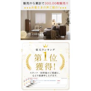 つっぱり ロールスクリーン ロールカーテン 防...の詳細画像2
