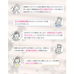 つっぱり ロールスクリーン ロールカーテン 防...の詳細画像3